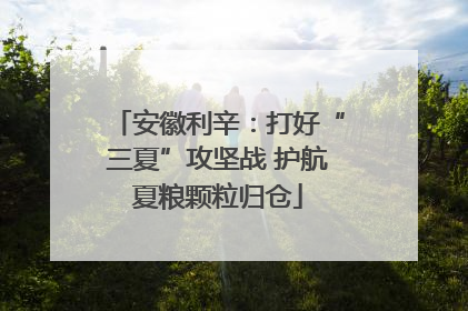 安徽利辛：打好“三夏”攻坚战 护航夏粮颗粒归仓